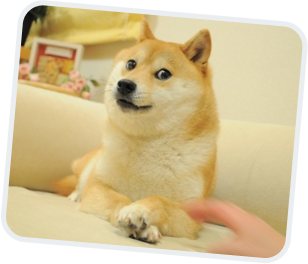 $DOGELEGACY